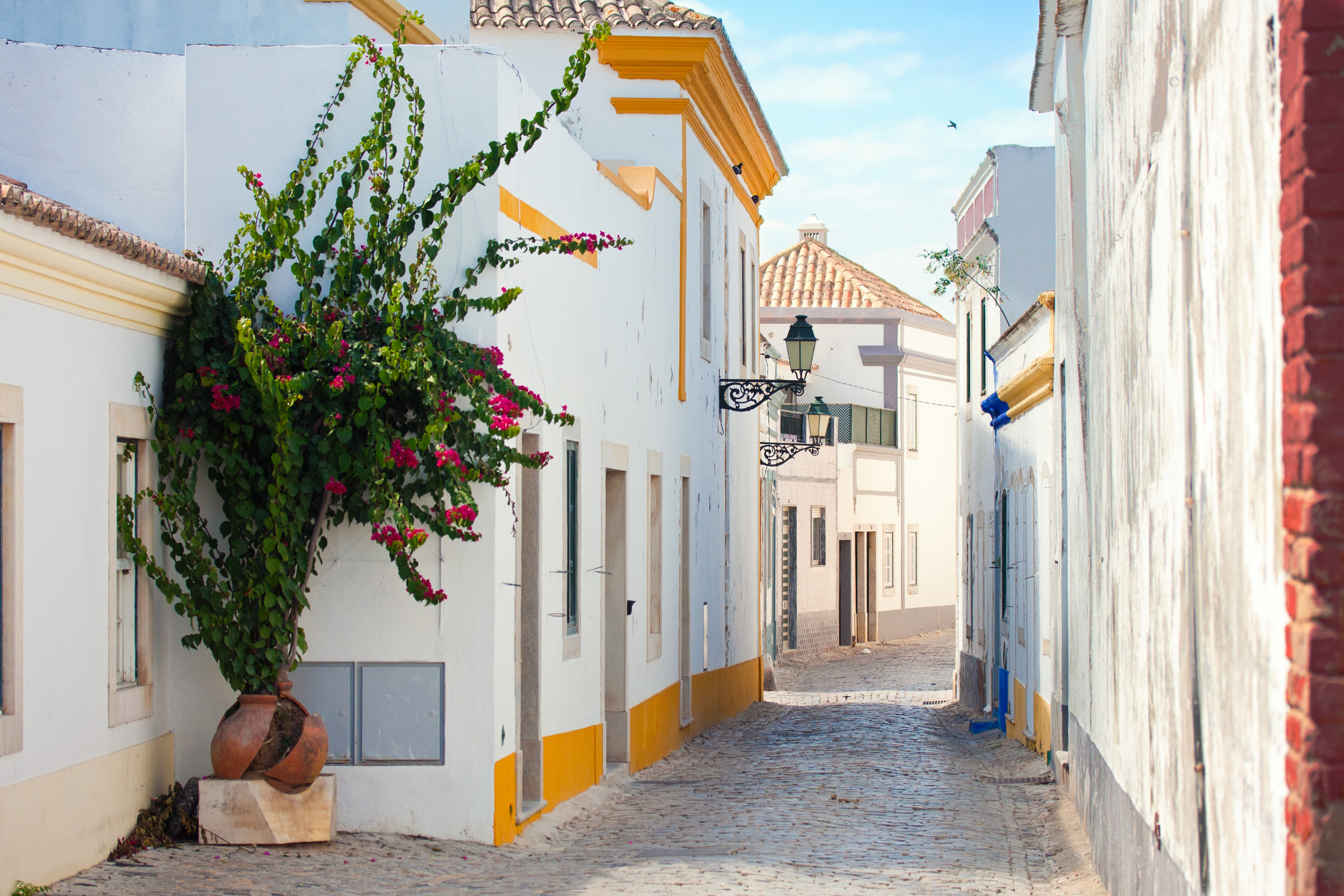 faro 04.webp